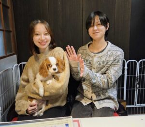 いぬむすび富士 画像