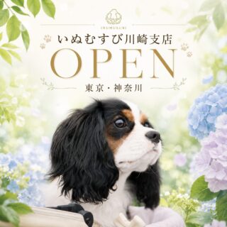 いぬむすび川崎支店オープンのブログ記事